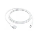 Apple Lightning to USB Cable