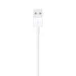 Apple Lightning to USB Cable
